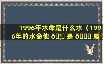 1996年水命是什么水（1996年的水命他 🦁 是 🐎 属于哪一种水）